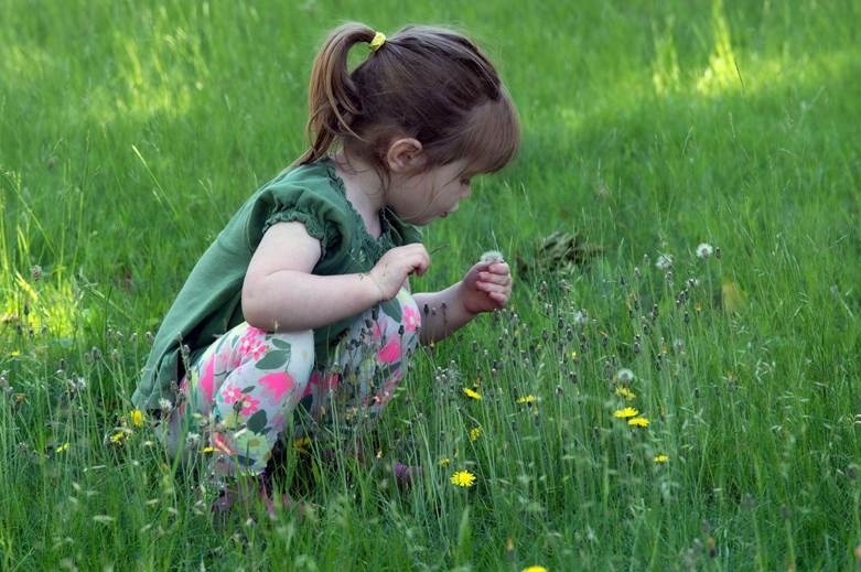 A young child crouching in a grassy field, examining wildflowers and plants.